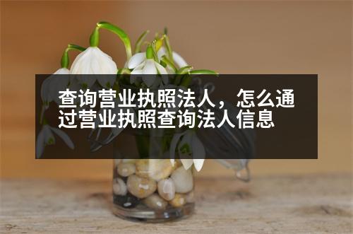 查詢營業(yè)執(zhí)照法人，怎么通過營業(yè)執(zhí)照查詢法人信息