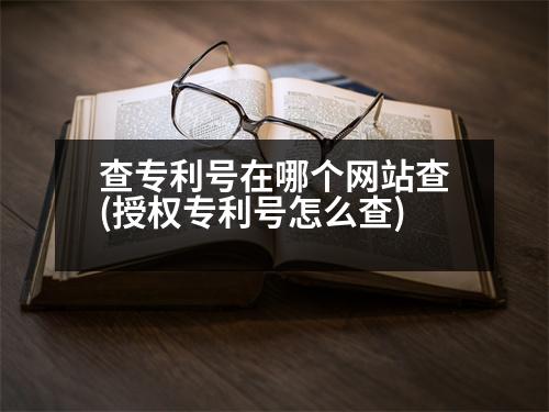 查專利號在哪個網(wǎng)站查(授權(quán)專利號怎么查)