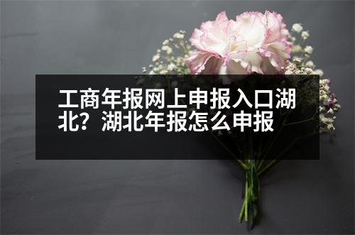 工商年報網(wǎng)上申報入口湖北？湖北年報怎么申報