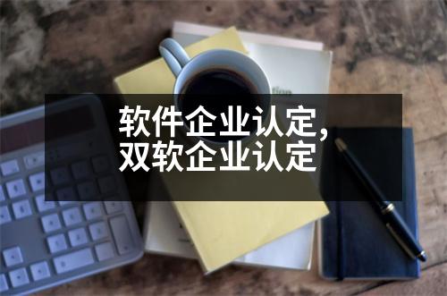 軟件企業(yè)認定,雙軟企業(yè)認定