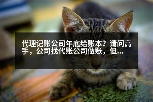 代理記賬公司年底給賬本？請(qǐng)問高手，公司找代賬公司做賬，但賬本賬冊(cè)代賬公司要保管，這可以嗎