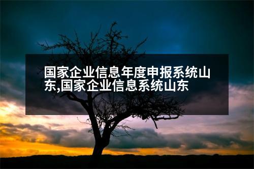 國家企業(yè)信息年度申報系統(tǒng)山東,國家企業(yè)信息系統(tǒng)山東