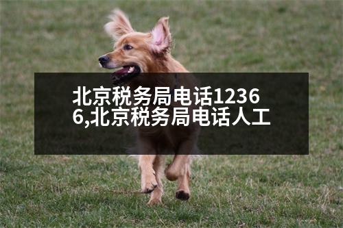 北京稅務(wù)局電話12366,北京稅務(wù)局電話人工