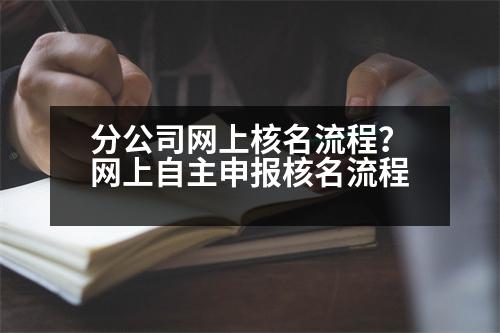 分公司網(wǎng)上核名流程？網(wǎng)上自主申報核名流程