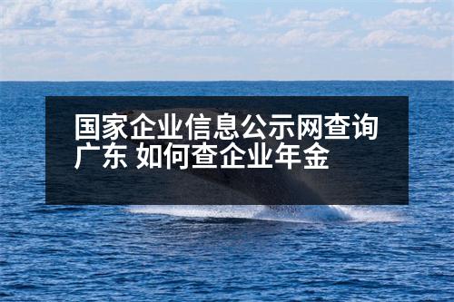 國(guó)家企業(yè)信息公示網(wǎng)查詢(xún)廣東 如何查企業(yè)年金