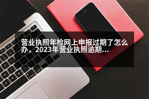 營業(yè)執(zhí)照年檢網上申報過期了怎么辦，2023年營業(yè)執(zhí)照逾期申報怎么辦