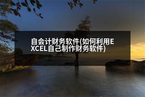 自會計財務軟件(如何利用EXCEL自己制作財務軟件)