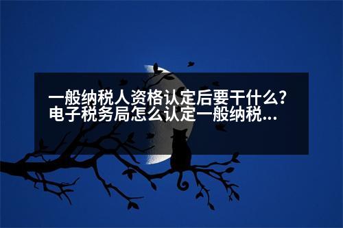 一般納稅人資格認(rèn)定后要干什么？電子稅務(wù)局怎么認(rèn)定一般納稅人