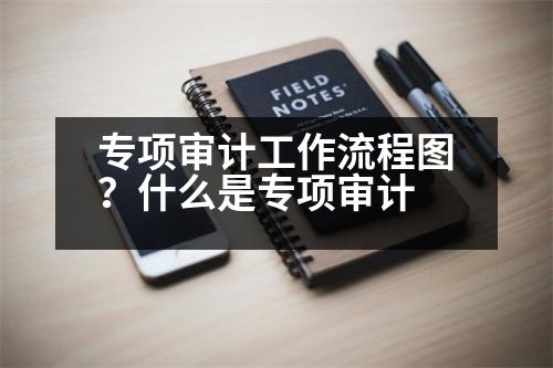 專項審計工作流程圖？什么是專項審計