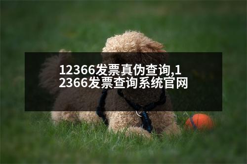 12366發(fā)票真?zhèn)尾樵?12366發(fā)票查詢系統(tǒng)官網(wǎng)