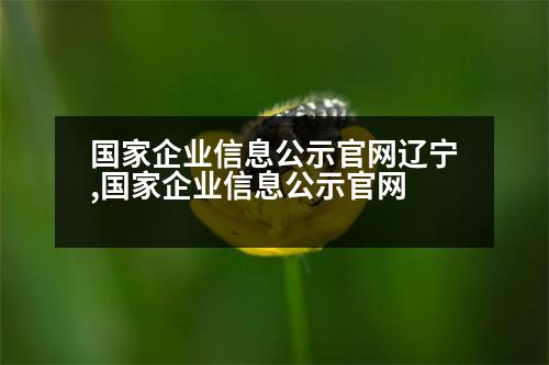 國(guó)家企業(yè)信息公示官網(wǎng)遼寧,國(guó)家企業(yè)信息公示官網(wǎng)