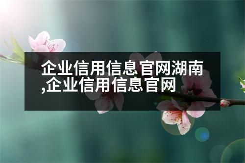 企業(yè)信用信息官網(wǎng)湖南,企業(yè)信用信息官網(wǎng)