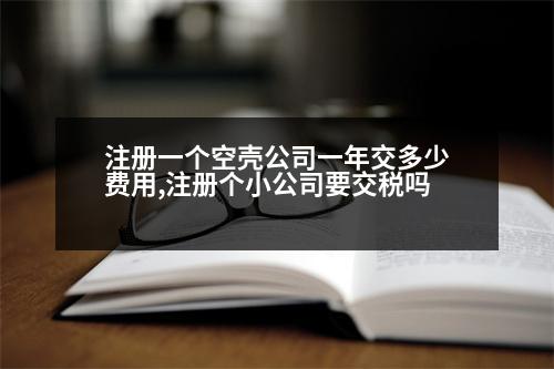 注冊一個空殼公司一年交多少費用,注冊個小公司要交稅嗎