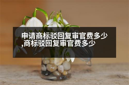 申請(qǐng)商標(biāo)駁回復(fù)審官費(fèi)多少,商標(biāo)駁回復(fù)審官費(fèi)多少