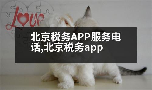 北京稅務(wù)APP服務(wù)電話,北京稅務(wù)app