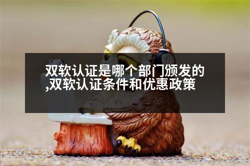 雙軟認(rèn)證是哪個(gè)部門頒發(fā)的,雙軟認(rèn)證條件和優(yōu)惠政策