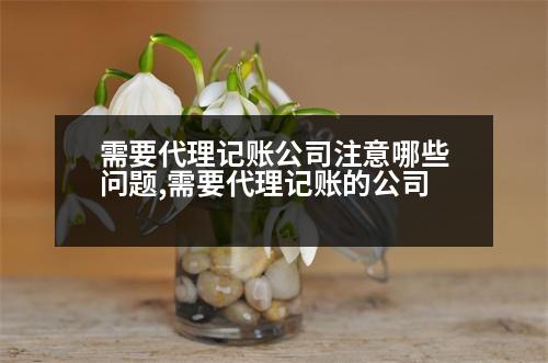 需要代理記賬公司注意哪些問題,需要代理記賬的公司