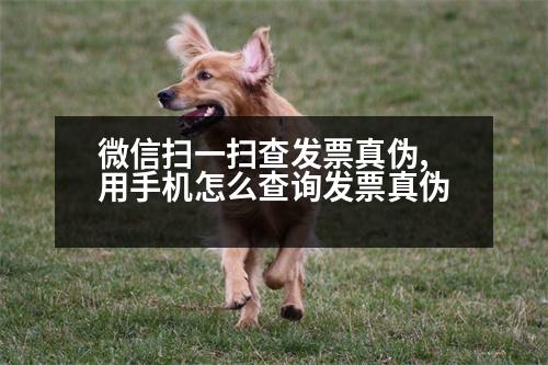 微信掃一掃查發(fā)票真?zhèn)?用手機怎么查詢發(fā)票真?zhèn)?></p>
<p>1、手機查詢</p>
<p>可以自行在電腦上查詢發(fā)票,一般是在“國家稅務總局”官網(wǎng)上查詢發(fā)票。</p>
<p>2、手機查詢</p>
<p>使用“電子稅務局”查詢發(fā)票,只能查發(fā)票是否作廢,不能查詢發(fā)票號碼是否已經(jīng)開具。</p>
<p>3、納稅人自助查詢</p>
<p>使用“自助發(fā)票查詢”獲取發(fā)票代碼,可以對發(fā)票號碼進行相應的查詢,一般為10-20個工作日。</p>
<p>手機查詢</p>
<p>使用“電子稅務局”查詢發(fā)票號碼,可以通過輸入納稅人識別號、發(fā)票號、份數(shù)等相應信息進行查詢,主要可以通過輸入發(fā)票代碼、發(fā)票號、價稅合計以及發(fā)票申請人等相關(guān)信息查詢。</p>
<p>4、互聯(lián)網(wǎng)發(fā)票查詢</p>
<p>使用“電子稅務局”獲取發(fā)票信息,可以撥打全國統(tǒng)一發(fā)票號碼進行查詢。</p>
<p>5、即時查詢</p>
<p>使用“電子稅務局”獲取發(fā)票號碼,可以通過手機查詢。</p>
<p>以上就是關(guān)于“查發(fā)票號碼是否已經(jīng)開具”的相關(guān)內(nèi)容,如有需要,您可以咨詢小微律政,專業(yè)團隊為您辦理。</p>
<p>代理記賬報稅服務熱線:400-660-5066</p>
<p>編輯:姚的財務會計服務內(nèi)容</p>
<p>會計和稅務申報服務內(nèi)容包括:</p>
<p>1.建賬;</p>
<p>2.辦理稅務登記;</p>
<p>3.開具發(fā)票;</p>
<p>4.處理納稅申報;</p>
<p>5.開具發(fā)票;</p>
<p>6.網(wǎng)上申報服務;</p>
<p>7.接受稅務檢查;</p>
<p>8.辦理發(fā)票開戶手續(xù);</p>
<p>9.電子政務。</p>
<p>二、網(wǎng)上稅務局</p>
<p>一、電子稅務局地址</p>
<p>1.進入深圳市稅務局官網(wǎng)。進入稅務局官網(wǎng)首頁,點擊“我要繳稅”。</p>
<p>2.進入“辦稅服務廳”后,在首頁的“我要交稅”選擇“稅務會計服務”。</p>
<p>3.輸入納稅人識別號或統(tǒng)一社會信用代碼。</p>
<p>4.進入服務稅收繳款書。登錄開票行,選擇“我要交稅”,進入開票行。</p>
<p>5.進入辦稅服務廳,選擇“發(fā)票行”。點擊“發(fā)票業(yè)務”,進入開票行。</p>
<p>   以上是「網(wǎng)上稅務局」9.電子稅務局,希望可以幫到大家。</p>
                          <div   id=