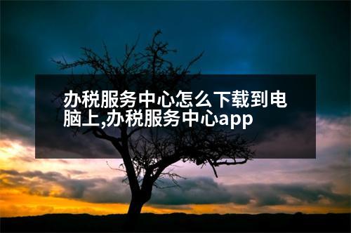 辦稅服務中心怎么下載到電腦上,辦稅服務中心app