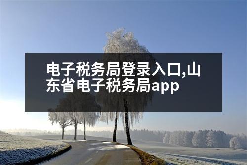 電子稅務局登錄入口,山東省電子稅務局app