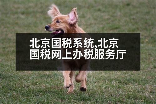 北京國(guó)稅系統(tǒng),北京國(guó)稅網(wǎng)上辦稅服務(wù)廳