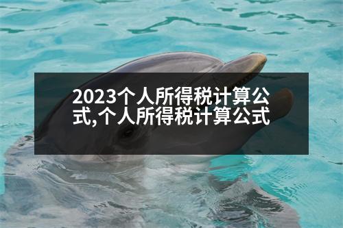 2023個人所得稅計算公式,個人所得稅計算公式