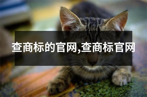 查商標的官網(wǎng),查商標官網(wǎng)