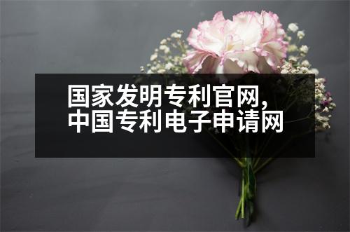 國家發(fā)明專利官網(wǎng),中國專利電子申請網(wǎng)