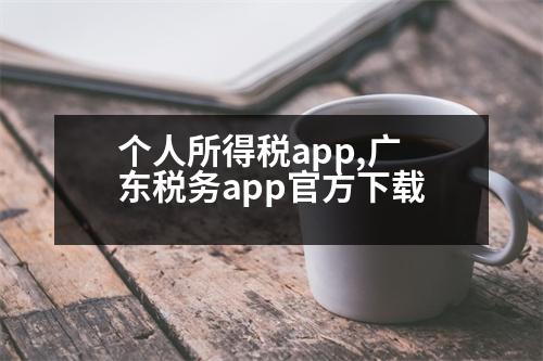 個(gè)人所得稅app,廣東稅務(wù)app官方下載