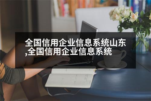 全國信用企業(yè)信息系統(tǒng)山東,全國信用企業(yè)信息系統(tǒng)