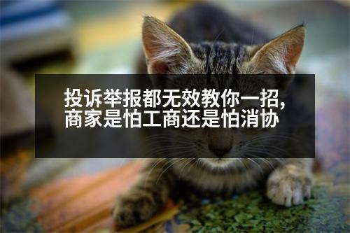 投訴舉報都無效教你一招,商家是怕工商還是怕消協(xié)