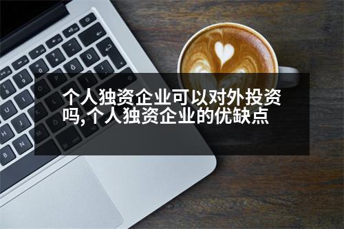 個人獨資企業(yè)可以對外投資嗎,個人獨資企業(yè)的優(yōu)缺點