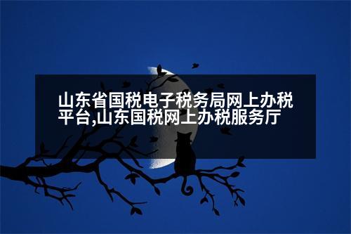 山東省國稅電子稅務(wù)局網(wǎng)上辦稅平臺,山東國稅網(wǎng)上辦稅服務(wù)廳