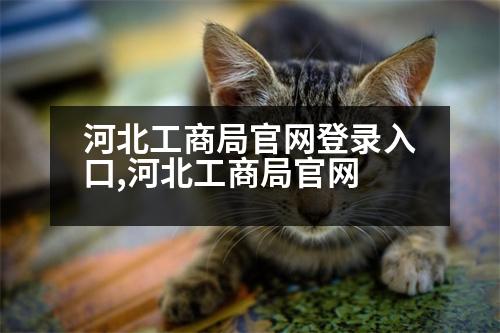 河北工商局官網(wǎng)登錄入口,河北工商局官網(wǎng)