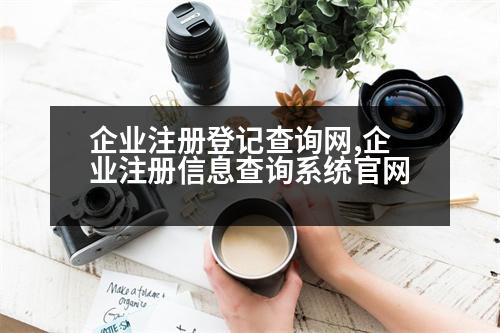 企業(yè)注冊登記查詢網(wǎng),企業(yè)注冊信息查詢系統(tǒng)官網(wǎng)