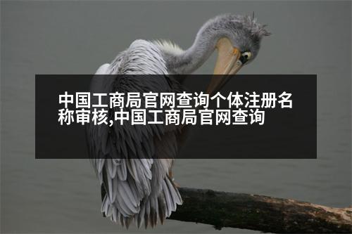 中國工商局官網(wǎng)查詢個體注冊名稱審核,中國工商局官網(wǎng)查詢