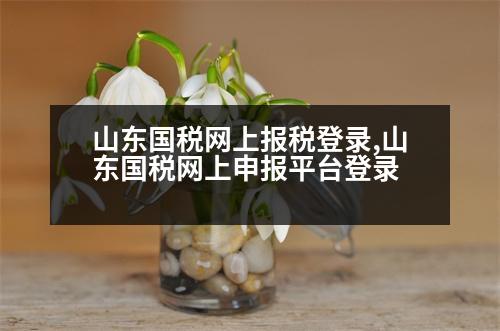 山東國稅網(wǎng)上報(bào)稅登錄,山東國稅網(wǎng)上申報(bào)平臺登錄