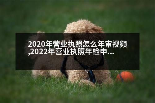 2020年營業(yè)執(zhí)照怎么年審視頻,2022年營業(yè)執(zhí)照年檢申報視頻