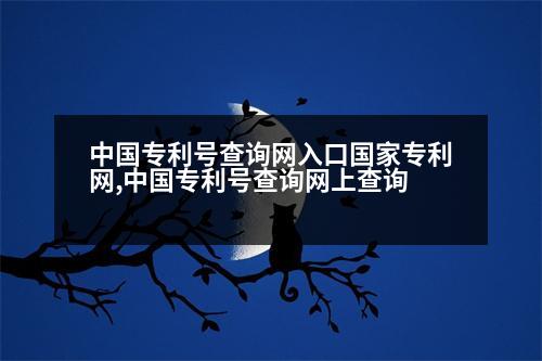 中國專利號查詢網(wǎng)入口國家專利網(wǎng),中國專利號查詢網(wǎng)上查詢