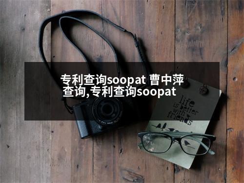 專利查詢soopat 曹中萍 查詢,專利查詢soopat