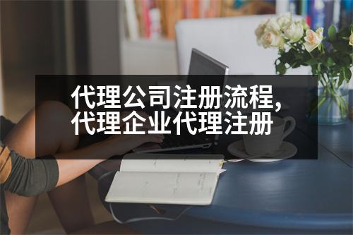 代理公司注冊流程,代理企業(yè)代理注冊