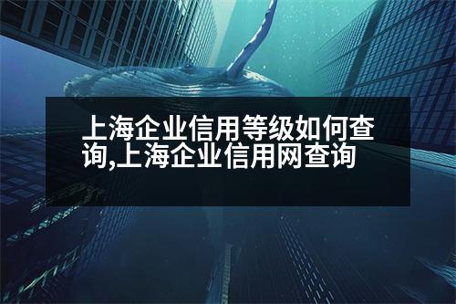 上海企業(yè)信用等級(jí)如何查詢,上海企業(yè)信用網(wǎng)查詢