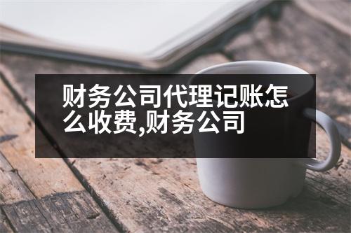 財(cái)務(wù)公司代理記賬怎么收費(fèi),財(cái)務(wù)公司