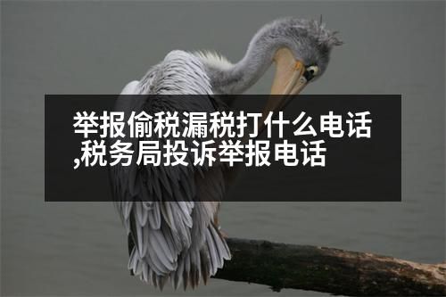 舉報偷稅漏稅打什么電話,稅務局投訴舉報電話