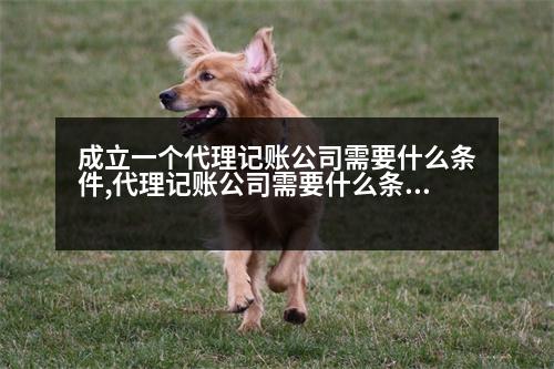 成立一個代理記賬公司需要什么條件,代理記賬公司需要什么條件