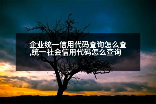 企業(yè)統(tǒng)一信用代碼查詢(xún)?cè)趺床?統(tǒng)一社會(huì)信用代碼怎么查詢(xún)