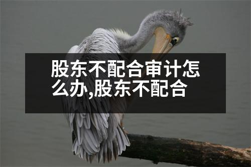 股東不配合審計怎么辦,股東不配合