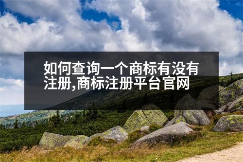 如何查詢一個商標(biāo)有沒有注冊,商標(biāo)注冊平臺官網(wǎng)