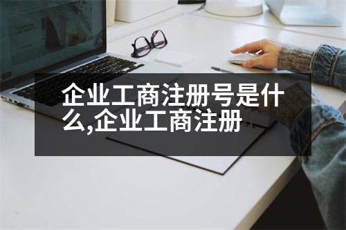 企業(yè)工商注冊號是什么,企業(yè)工商注冊