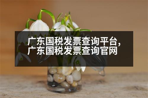 廣東國稅發(fā)票查詢平臺,廣東國稅發(fā)票查詢官網(wǎng)